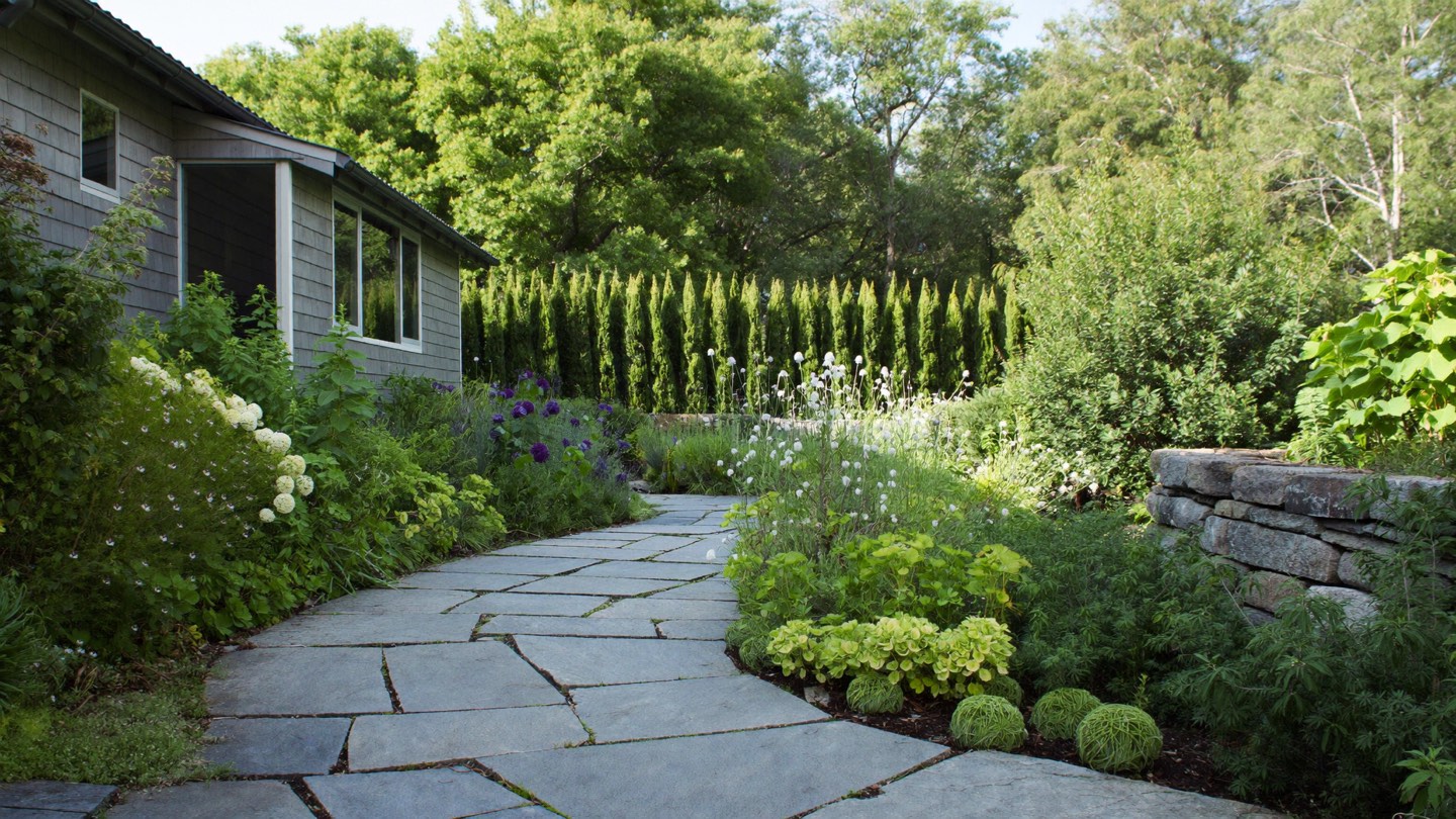 A stone garden walk curving between deep perennial borders and a low fieldstone wall toward a shingled house.