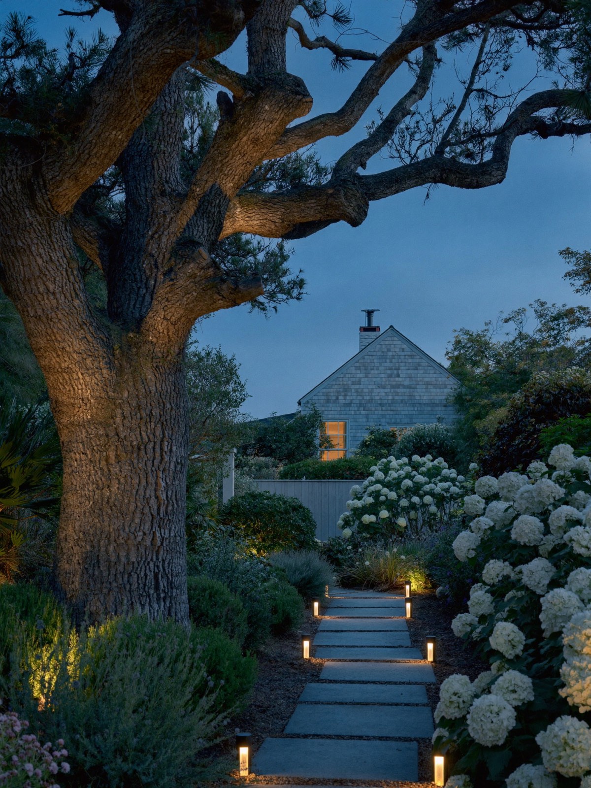 A garden at blue hour with low path lights along a stone walk, an uplit oak and white hydrangeas before a shingled house.
