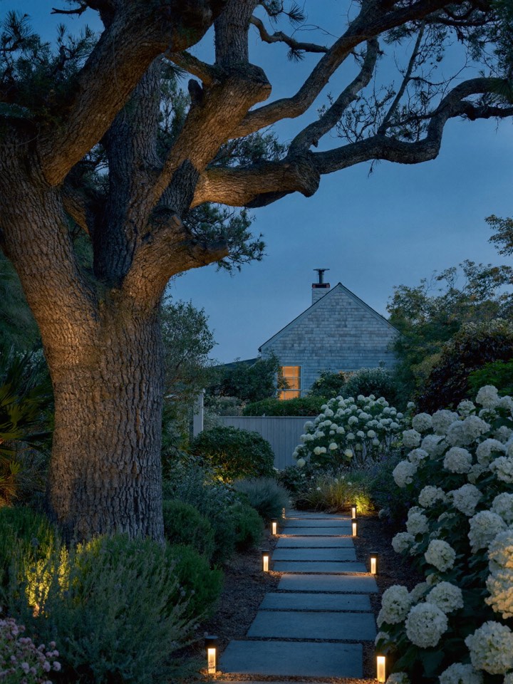 Path lights along a stone walk and an uplit oak at blue hour.