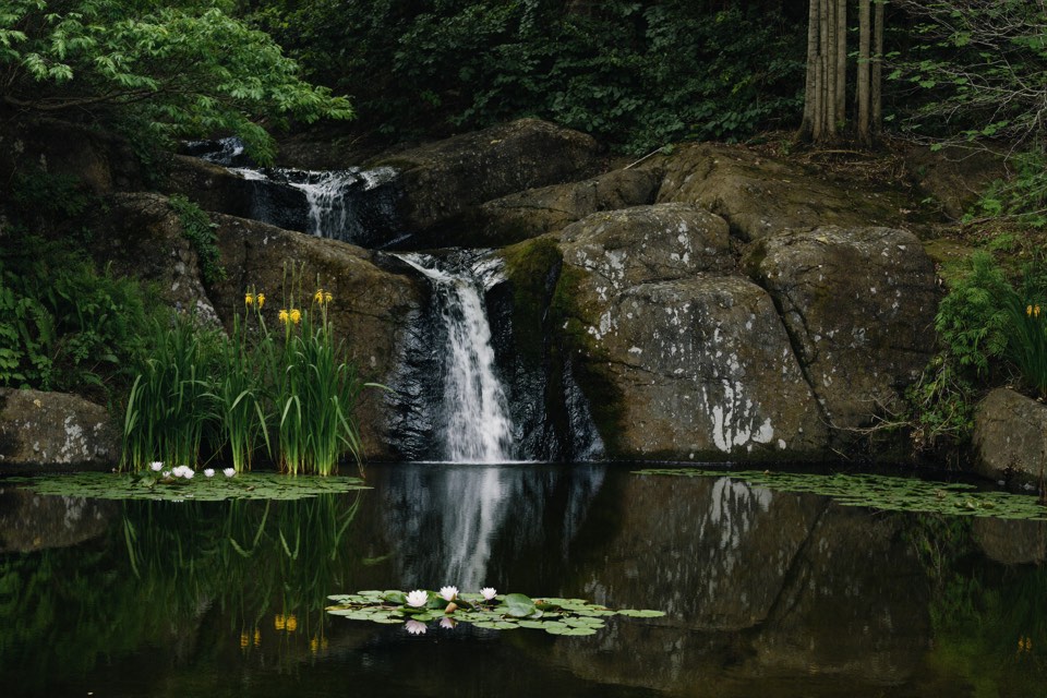 A small waterfall spilling over mossy boulders into a still pond with water lilies and iris.